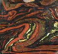 Polished Tiger Iron Stromatolite - ( Billion Years) #92825-1
